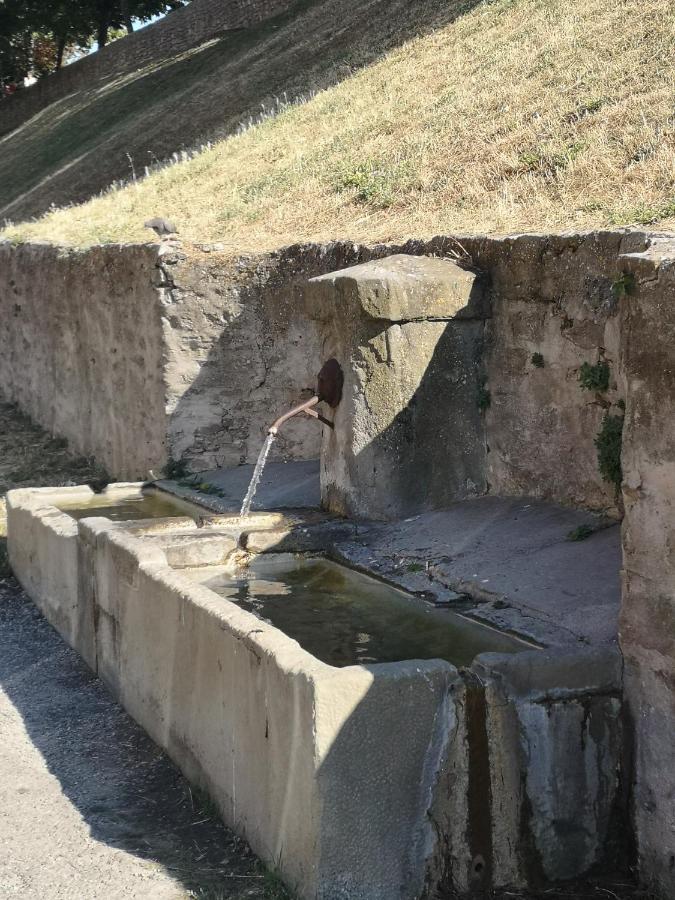 Un petit coin de France : à côté de la Cité médiévale Apartamento Carcassonne Exterior foto