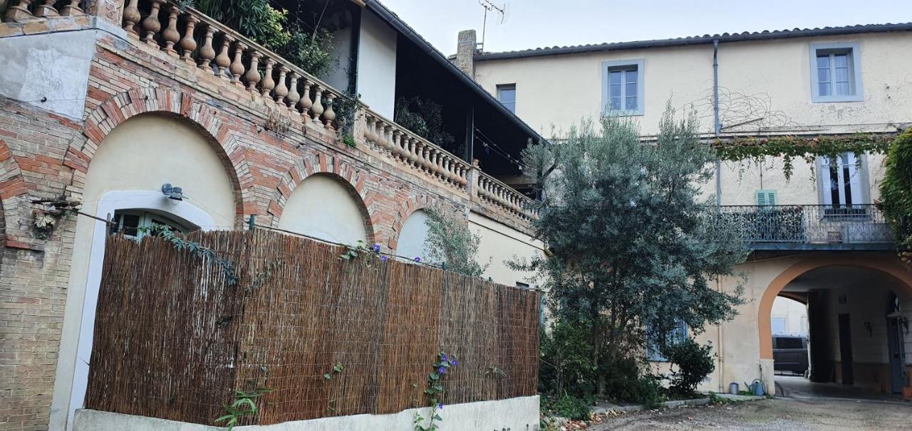 Un petit coin de France : à côté de la Cité médiévale Apartamento Carcassonne Exterior foto